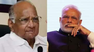 sharad pawar said, three regional leaders would be better PM instead of rahul gandhi