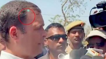 Rahul Gandhi Security breach: Green laser pointed at Congress president came from a mobile of AICC cameraman says MHA