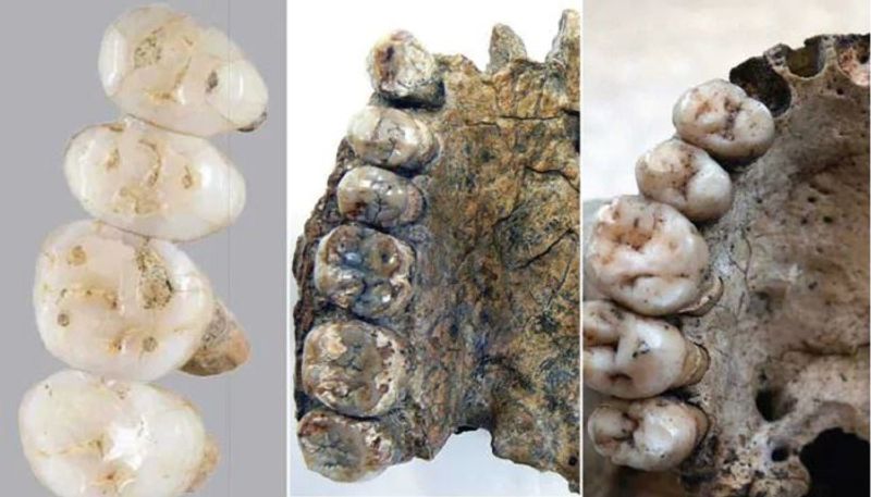 New Species Of Ancient Human Discovered In Philippines Cave