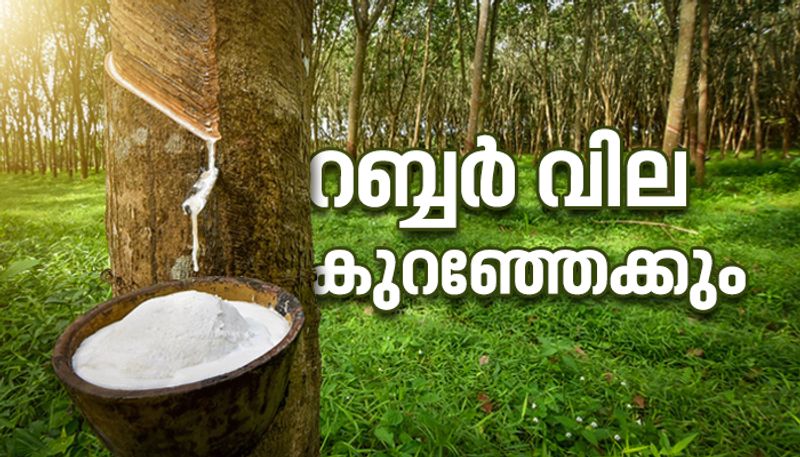 rubber price in Kerala may goes down due to international hike in production