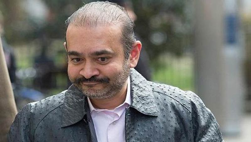 Mumbai Arthur Road Jail infested with rats Says Nirav Modi