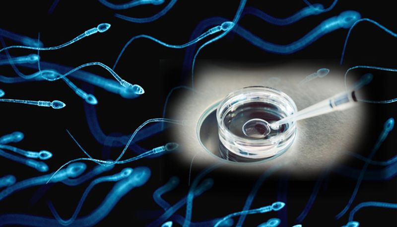 Dutch doctor secretly fathered 49 children used to replace sperm of donors with his own