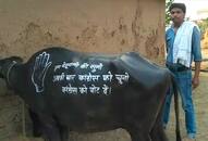 Buffalo is in election campaign