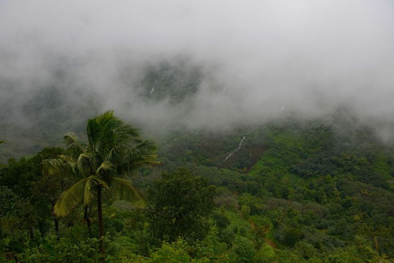 Drizzling in Ghat section near Shivamogga