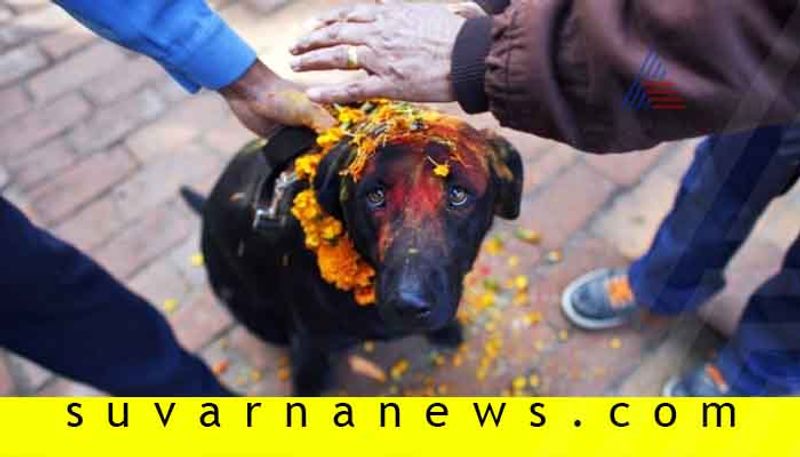 4 animal worshipped places in India insted of god