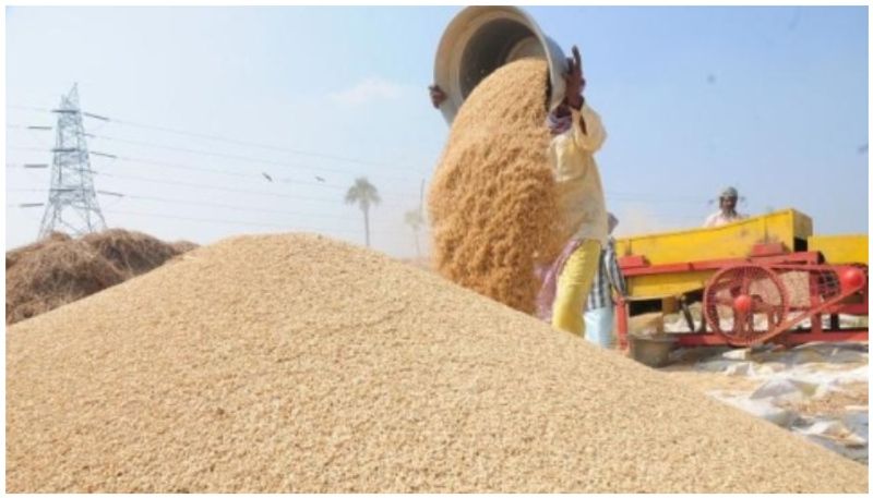 Karnataka govt  announces Rs 200 msp to paddy