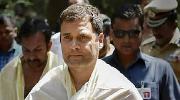 Court seek action taken report on Rahul Gandhi case