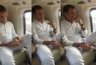 rahul gandhi enjoys delicious samosa during campaign in rajasthan