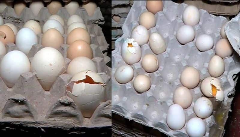 8 Children Sick after Eating Rotten Eggs in Government School at Hosakote in Bengaluru Rural grg 