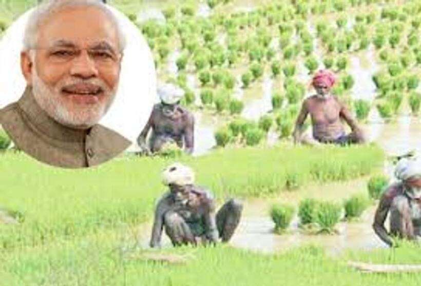 इस बार के बजट में किसानों को ब्याज मुक्त कर्ज का तोहफा दे सकती है मोदी सरकार