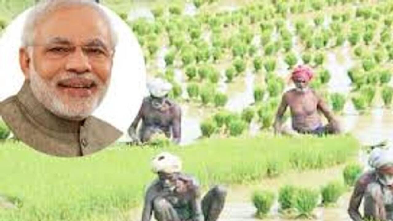 इस बार के बजट में किसानों को ब्याज मुक्त कर्ज का तोहफा दे सकती है मोदी सरकार
