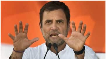 supreme court harsher Rahul Gandhi liar tender apology fear law