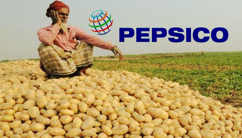 PepsiCo loses rights to special lays variety potato in India anu