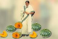 Why Mamata is afraid of pumpkins and not watermelons now