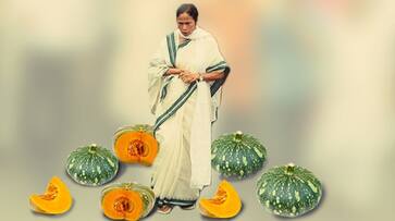 Why Mamata is afraid of pumpkins and not watermelons now