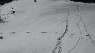 Snowman Yeti Found near Makalu Base Camp, Indian Army tweets sights footprints
