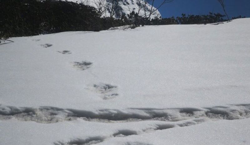 Yeti footprint sighted claims Army; Twitter is amused