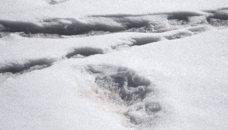 Indian Army Tweets About Yeti Footprints Sighted By Expedition Team