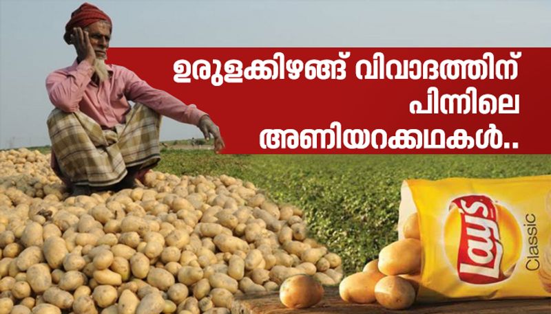 the story behind lays potato case and reasons behind Pepsi co vs Gujarat farmers case