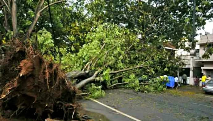 আসছে ফণী! সতর্ক থাকুন, জেনে নিন মৌসম ভবনের পরামর্শ