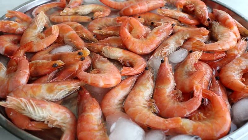 Scientists find cocaine in shrimps in Suffolk rivers