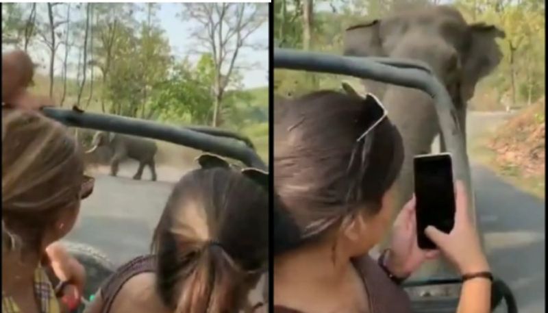 angry elephant charges towards women video goes viral