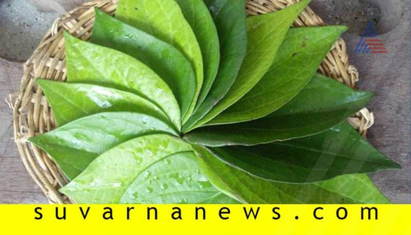 Betel Leaf Price Increased in Chikkaballapur Market grg