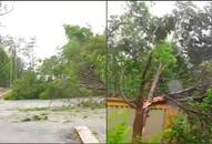 Cyclone Fani: Death toll rises to 10 in Odisha