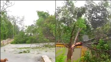 Cyclone Fani: Death toll rises to 10 in Odisha