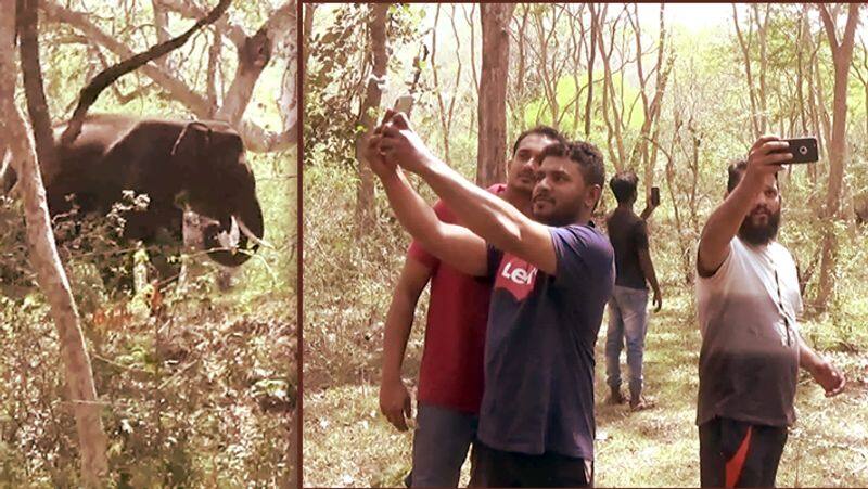 Selfie with elephant video..