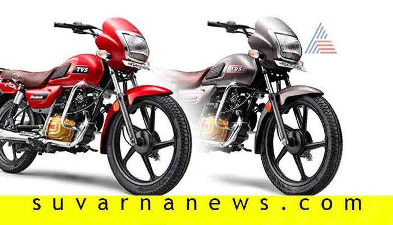 TVS radeon bike launched with 2 more colour