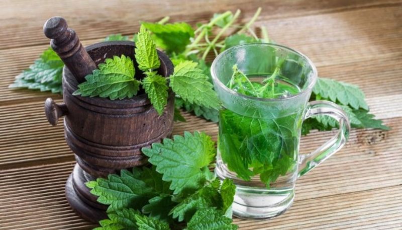 Easy mint recipes to prepare at home