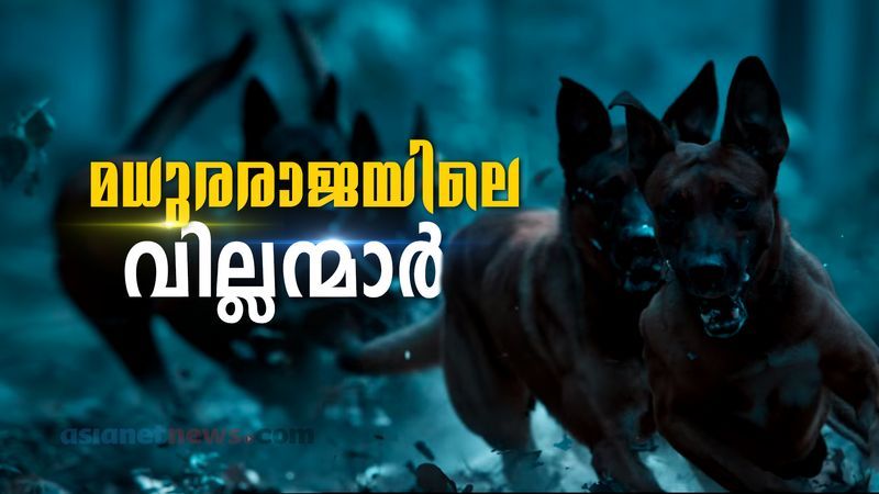 madhuraraja dogs real or not real