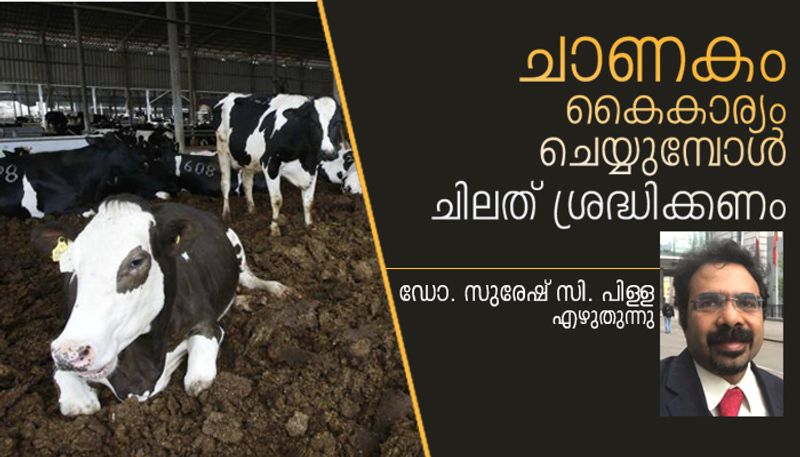 cow dung health issues and problems dr suresh c pillai writes