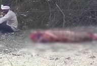 Killing of tiger for hunting