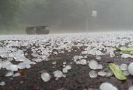 Kolar: Hailstorm destroys crops, disrupts power supply