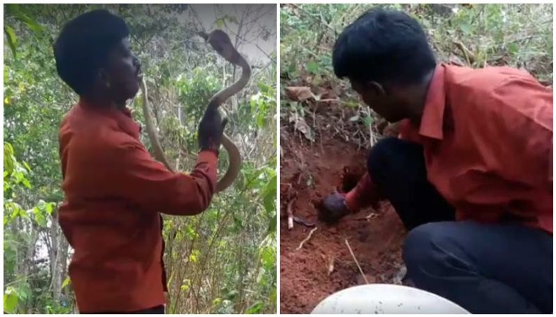 vava suresh caught cobra