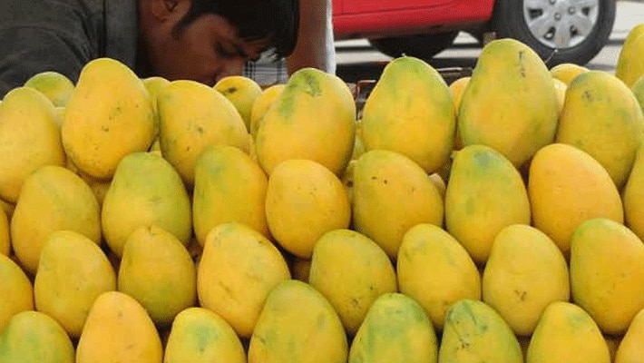 mango rate high