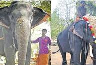 Female elephant disguised male temple ritual Kerala due to shortage