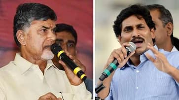 Election results 2019: YSRCP looks set to break TDP's record in Andhra Pradesh