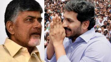 Election results 2019: Jaganmohan Reddy to become Andhra Pradesh chief minister; Naidu to resign