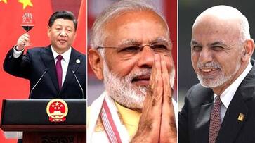 World leaders shower PM Narendra Modi with congratulatory messages as NDA heads towards victory