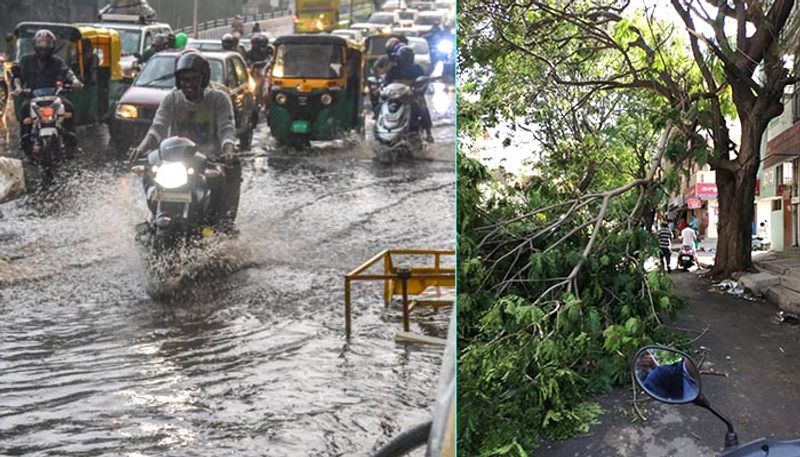 Thunderstorm claims life painterBengaluru