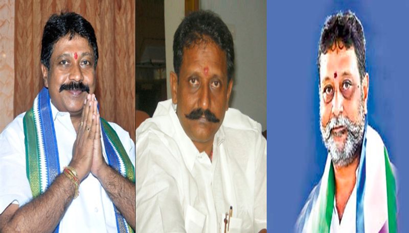 The three brothers elected as MLAs in Andhra Pradesh