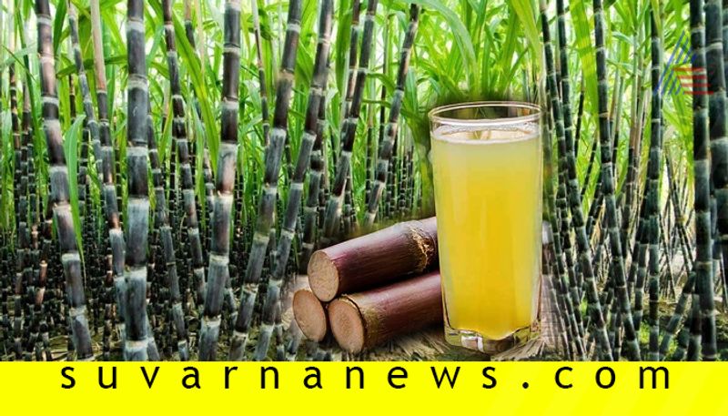 Deficiency cause and prevention for Iron content in sugarcane crop