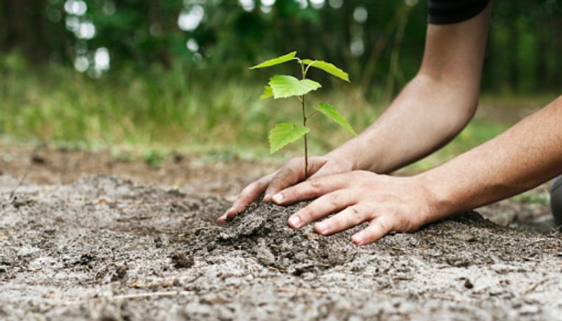 Anirudh 6th standard boy from mysore dreams to plant 1 million tress