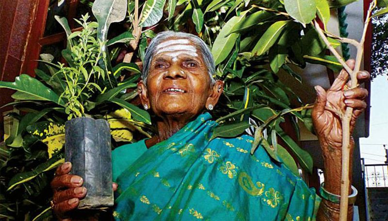 compound of thimmakka vana falls down due to heavy waves in Karwar