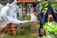 Nipah virus 6 patients 7 isolation ward Kerala test negative