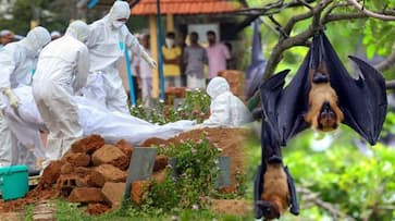 Kerala Nipah patient recovering 5 await test results