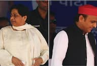 No future with SP; BSP to contest all polls on its own: Mayawati